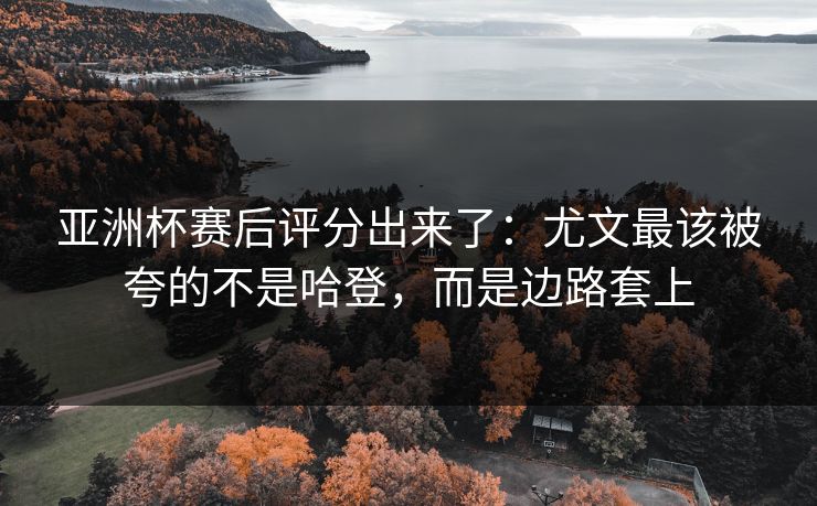 亚洲杯赛后评分出来了：尤文最该被夸的不是哈登，而是边路套上-第1张图片-开云体育官网首页 - 赛事实时汇聚