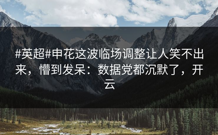 #英超#申花这波临场调整让人笑不出来，懵到发呆：数据党都沉默了，开云