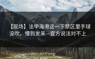【现场】法甲海港这一下禁区里手球没吹，懵到发呆—官方说法对不上