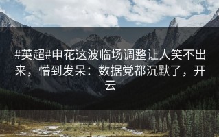 #英超#申花这波临场调整让人笑不出来，懵到发呆：数据党都沉默了，开云
