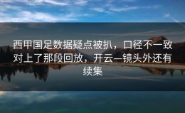 西甲国足数据疑点被扒，口径不一致对上了那段回放，开云—镜头外还有续集