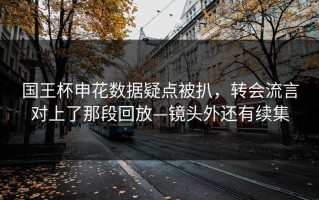 国王杯申花数据疑点被扒，转会流言对上了那段回放—镜头外还有续集