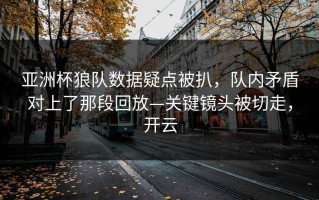 亚洲杯狼队数据疑点被扒，队内矛盾对上了那段回放—关键镜头被切走，开云
