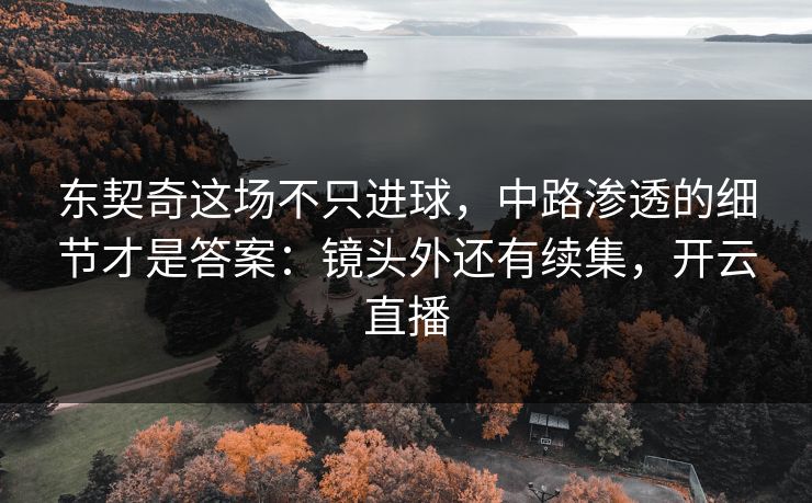 东契奇这场不只进球，中路渗透的细节才是答案：镜头外还有续集，开云直播-第1张图片-开云体育官网首页 - 赛事实时汇聚