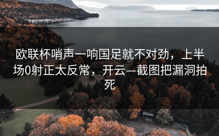 欧联杯哨声一响国足就不对劲，上半场0射正太反常，开云—截图把漏洞拍死-第1张图片-开云体育官网首页 - 赛事实时汇聚