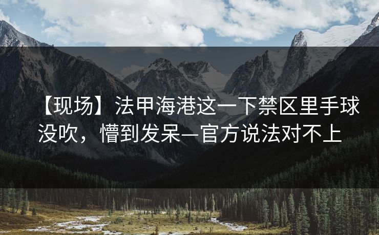 【现场】法甲海港这一下禁区里手球没吹，懵到发呆—官方说法对不上-第1张图片-开云体育官网首页 - 赛事实时汇聚