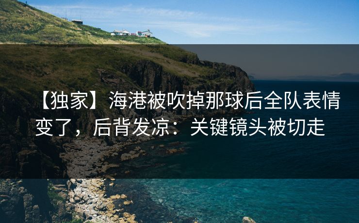 【独家】海港被吹掉那球后全队表情变了，后背发凉：关键镜头被切走-第1张图片-开云体育官网首页 - 赛事实时汇聚